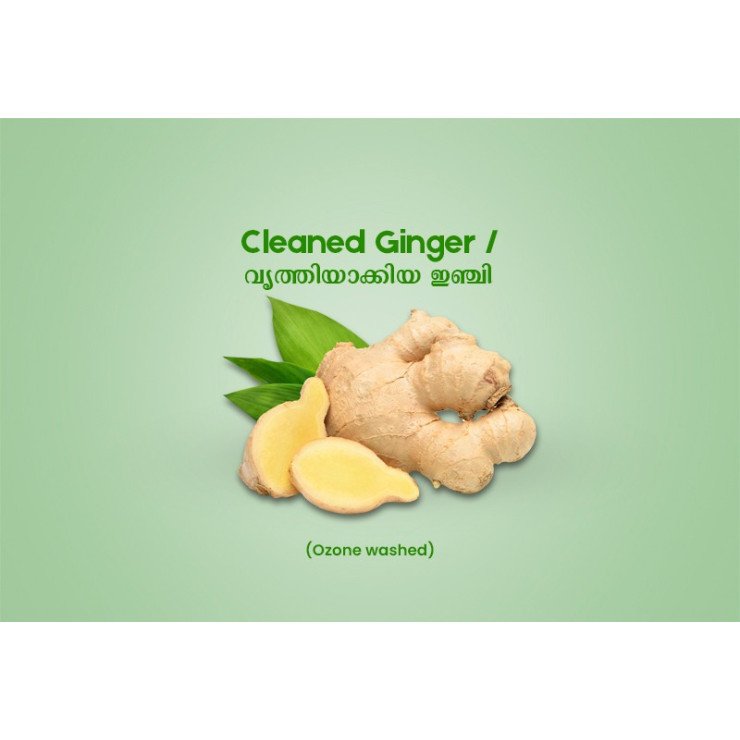 Cleaned Ginger / വൃത്തിയാക്കിയ ഇഞ്ചി  -100gm Pack ( Ozone Washed)
